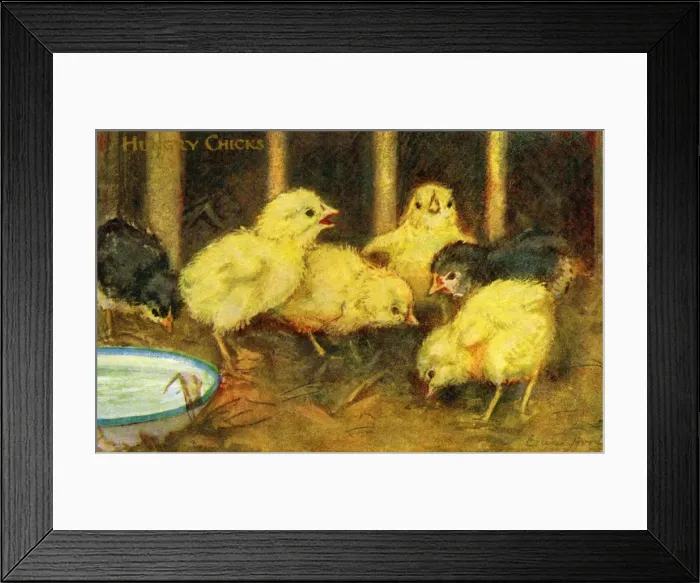 Framed Print : Chicks. Pub: Humphrey Milford, Postcards for the Little Ones Framed Print : Chicks. Pub: Humphrey Milford, Postcards for the Little Ones