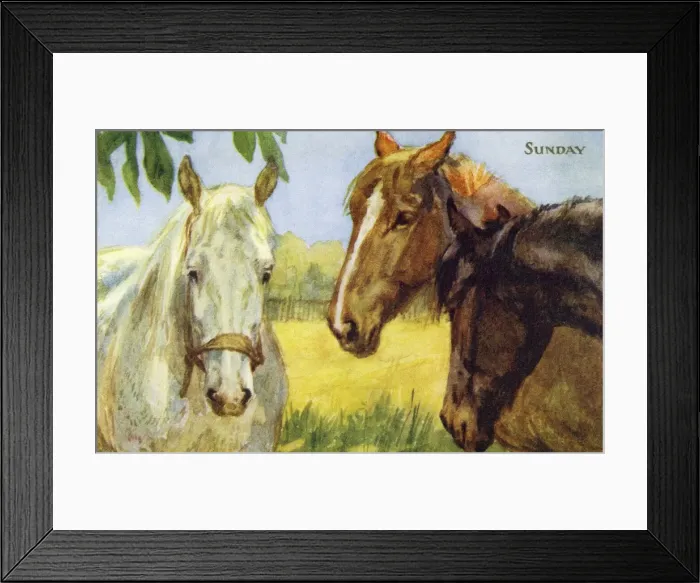 Framed Print : Horses resting in a field Framed Print : Horses resting in a field