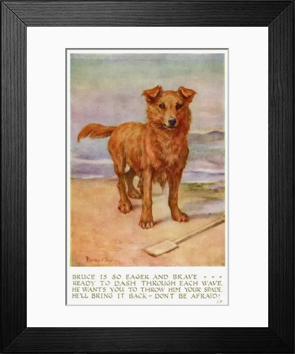 Framed Print : Dog on a beach Framed Print : Dog on a beach