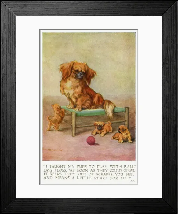 Framed Print : Pekingese with puppies Framed Print : Pekingese with puppies