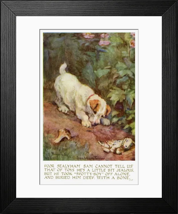 Framed Print : Sealyham terrier Framed Print : Sealyham terrier
