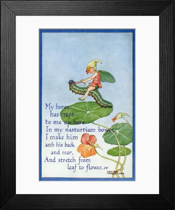 Framed Print : Fairy on a caterpillar Framed Print : Fairy on a caterpillar