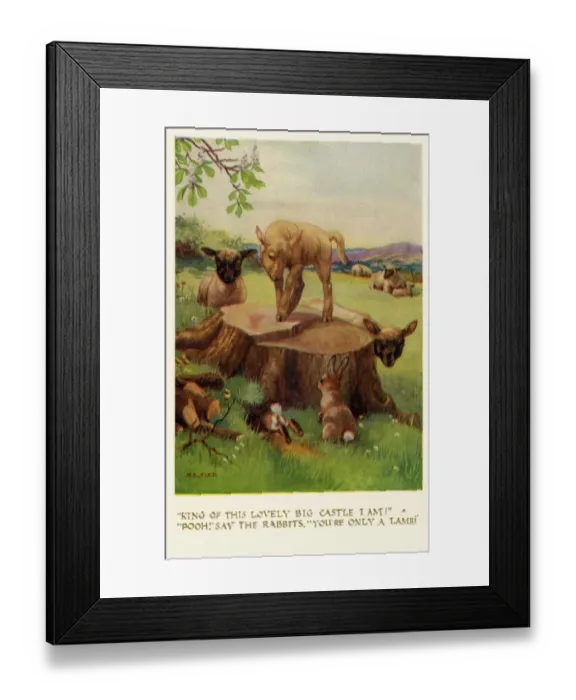 Framed Print : Lambs & rabbits Framed Print : Lambs & rabbits