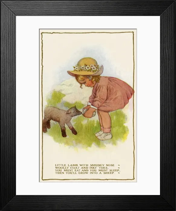 Framed Print : Feeding a lamb Framed Print : Feeding a lamb