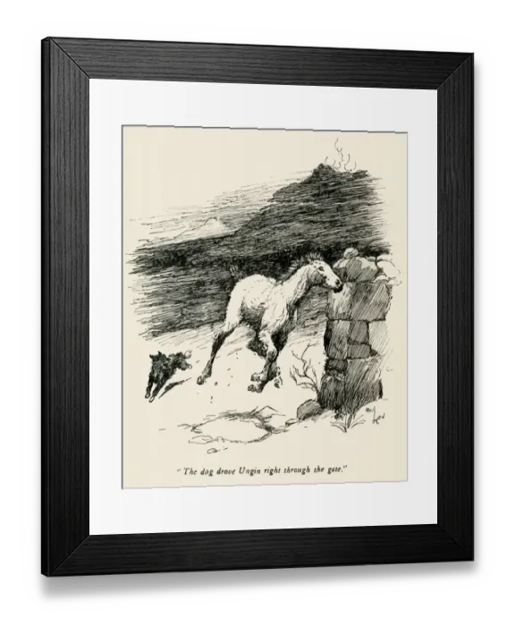 Framed Print : Illustration by Cecil Aldin, The Wild Horses of Iceland Framed Print : Illustration by Cecil Aldin, The Wild Horses of Iceland