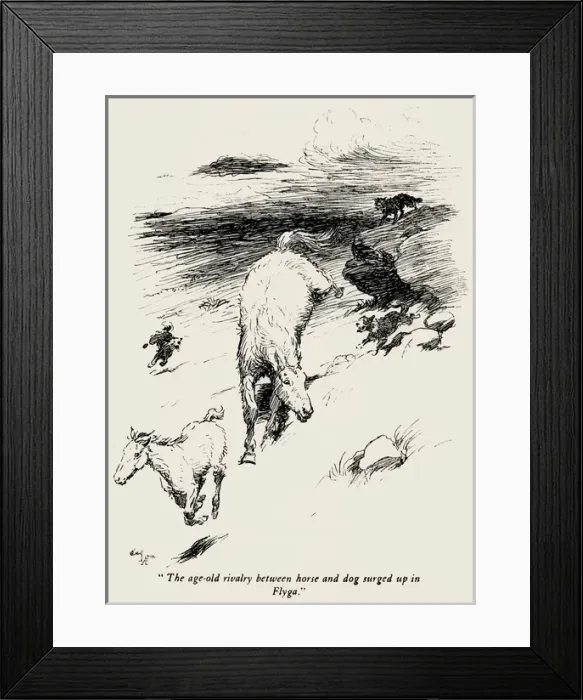 Framed Print : Illustration by Cecil Aldin, The Wild Horses of Iceland Framed Print : Illustration by Cecil Aldin, The Wild Horses of Iceland