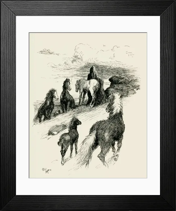 Framed Print : Illustration by Cecil Aldin, The Wild Horses of Iceland Framed Print : Illustration by Cecil Aldin, The Wild Horses of Iceland