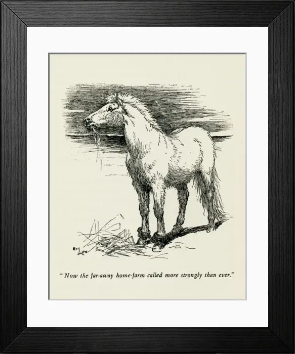 Framed Print : Illustration by Cecil Aldin, The Wild Horses of Iceland Framed Print : Illustration by Cecil Aldin, The Wild Horses of Iceland