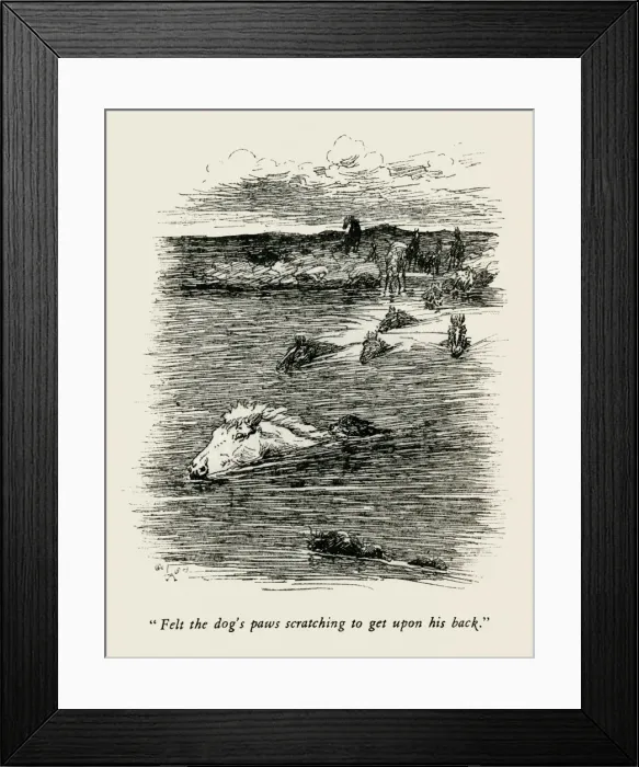 Framed Print : Illustration by Cecil Aldin, The Wild Horses of Iceland Framed Print : Illustration by Cecil Aldin, The Wild Horses of Iceland