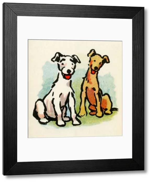 Framed Print : Illustration by Cecil Aldin, Stories from Puppyland Framed Print : Illustration by Cecil Aldin, Stories from Puppyland