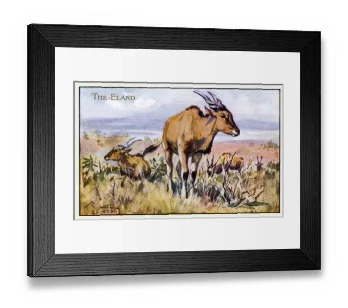 Framed Print : Eland. Pub: Humphrey Milford, Postcards for the Little Ones Framed Print : Eland. Pub: Humphrey Milford, Postcards for the Little Ones