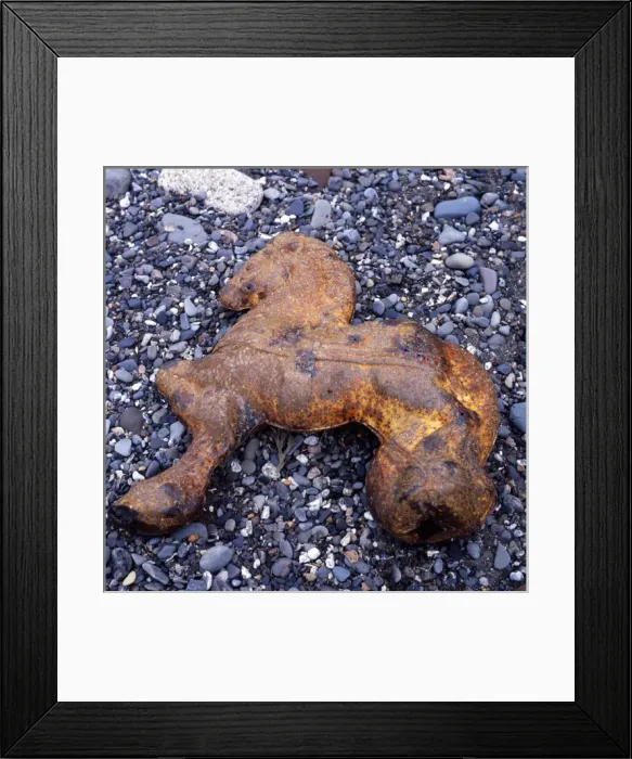 Framed Print : Seahorse. Maryport Cumbria 1970s Framed Print : Seahorse. Maryport Cumbria 1970s