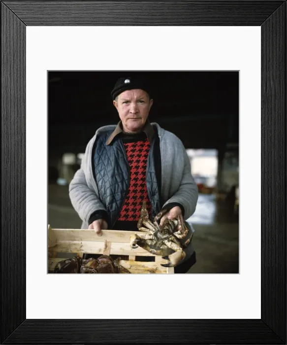 Framed Print : Fresh Crabs. Hartlepool Quay 1970s Framed Print : Fresh Crabs. Hartlepool Quay 1970s