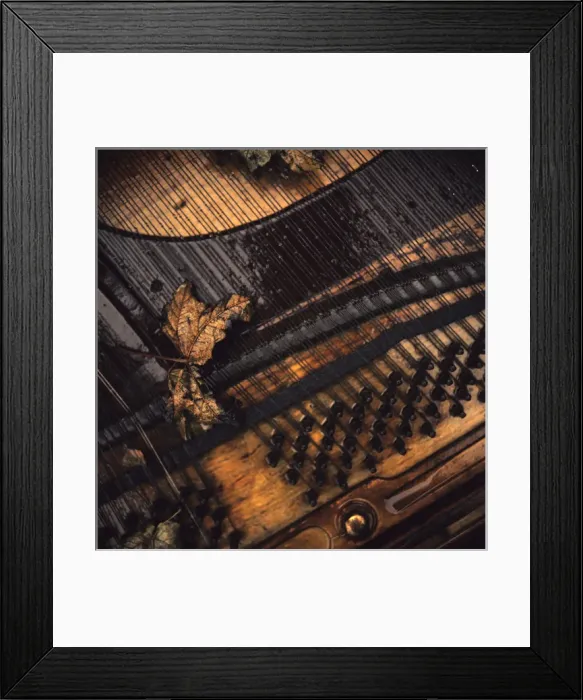 Framed Print : Autumn Leaves. Norton on Tees 1970s Framed Print : Autumn Leaves. Norton on Tees 1970s