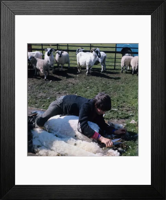 Framed Print : Untitled. N. Yorks Moors 1970s Framed Print : Untitled. N. Yorks Moors 1970s
