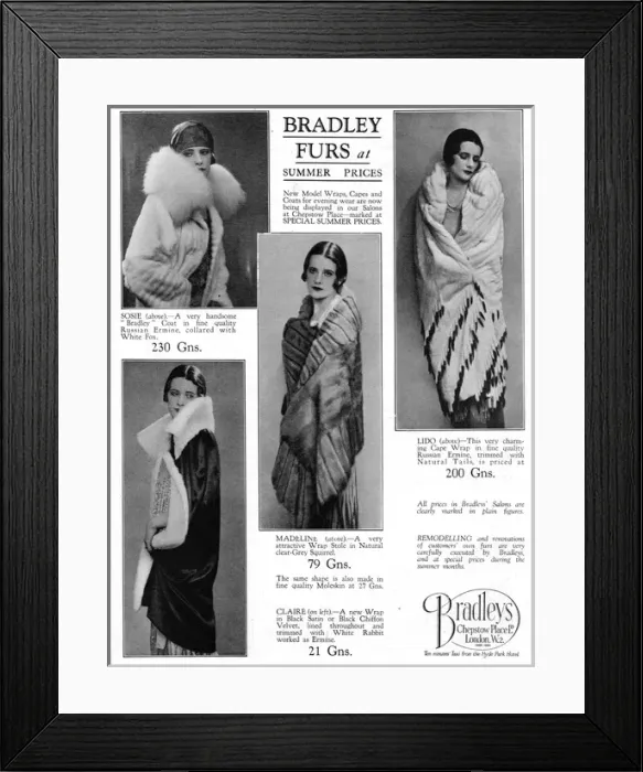 Framed Print : Advert for Bradleys Furs, 1927 Framed Print : Advert for Bradleys Furs, 1927