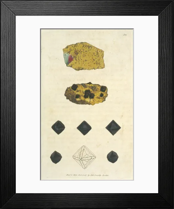 Framed Print : Magnetite. Plate 54 from James Sowerbys British Mineralogy Framed Print : Magnetite. Plate 54 from James Sowerbys British Mineralogy