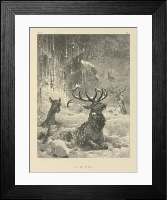 Framed Print : The Avalanche Framed Print : The Avalanche