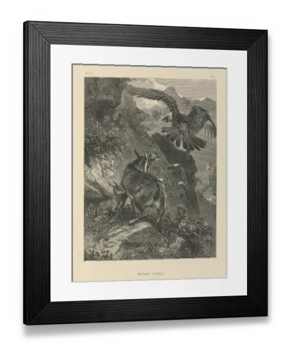 Framed Print : Maternal Courage Framed Print : Maternal Courage