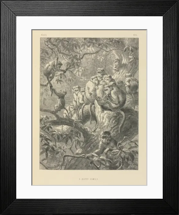 Framed Print : A Happy Family Framed Print : A Happy Family