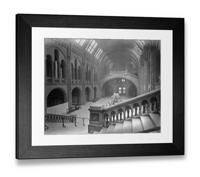 Framed Print : Central Hall, the Natural History Museum. 1882 Framed Print : Central Hall, the Natural History Museum. 1882
