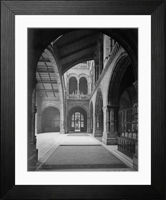 Framed Print : Central Hall, the Natural History Museum. 1882 Framed Print : Central Hall, the Natural History Museum. 1882