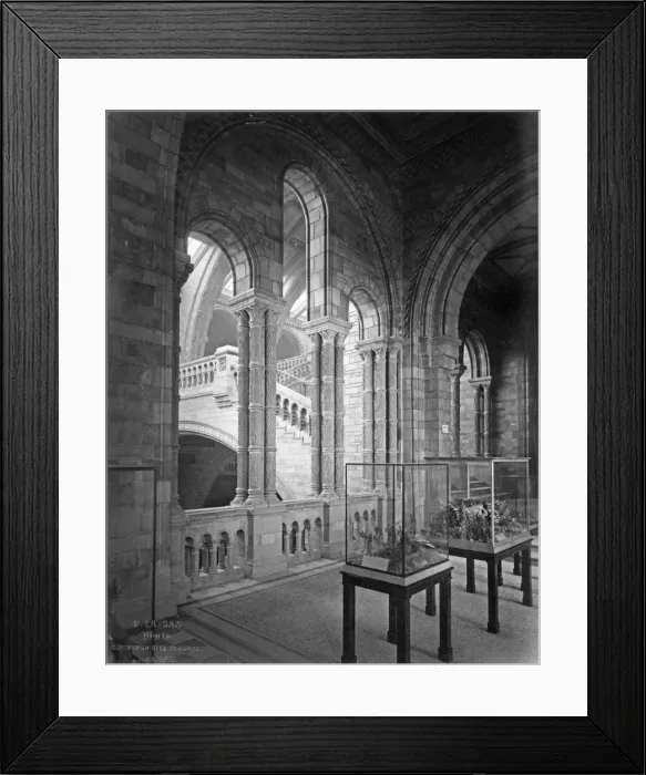 Framed Print : West corridor, the Natural History Museum 1882 Framed Print : West corridor, the Natural History Museum 1882