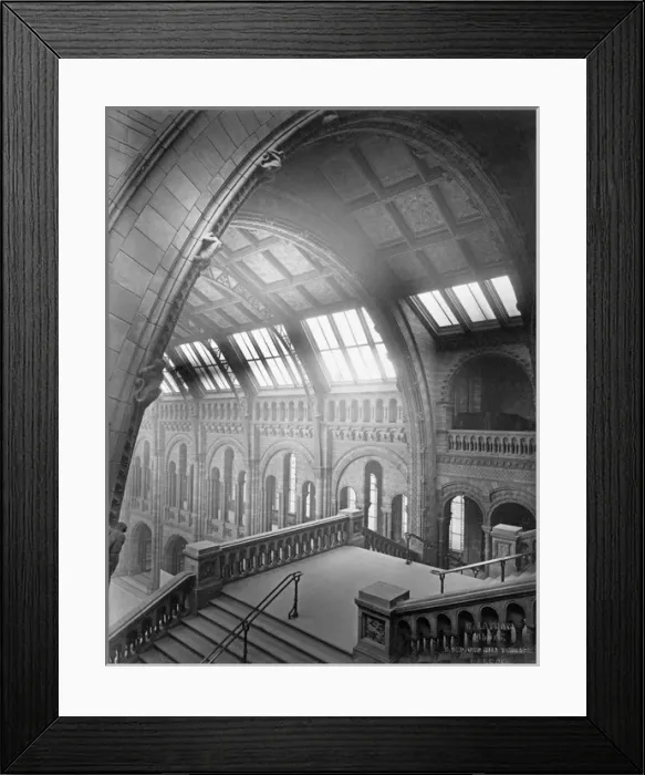 Framed Print : Central Hall, the Natural History Museum. 1882 Framed Print : Central Hall, the Natural History Museum. 1882