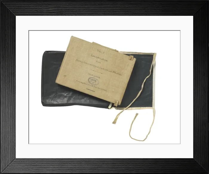 Framed Print : Sketchbooks of Lepidoptera, Margaret Fountaine Framed Print : Sketchbooks of Lepidoptera, Margaret Fountaine