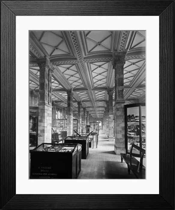 Framed Print : Fossil Mammal Gallery, Natural History Museum Framed Print : Fossil Mammal Gallery, Natural History Museum
