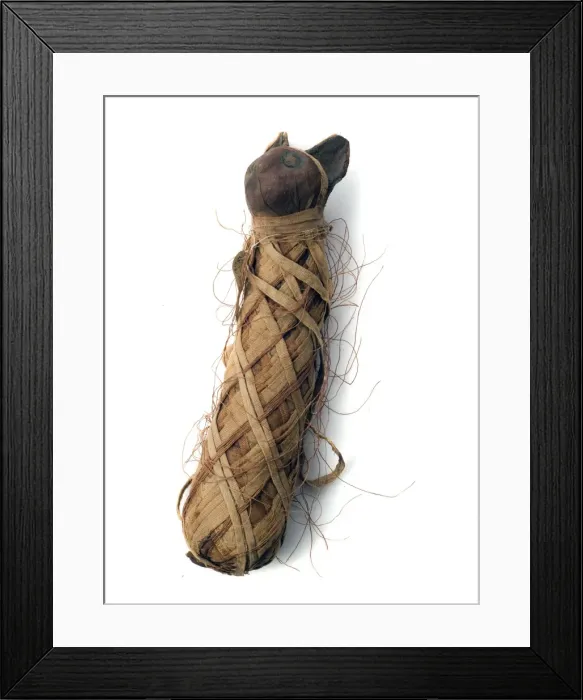 Framed Print : Egyptian mummified cat Framed Print : Egyptian mummified cat