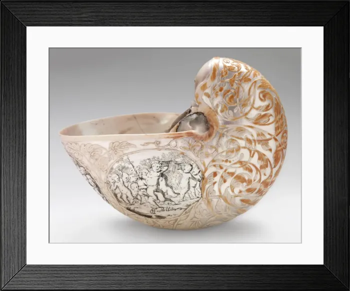 Framed Print : Hans Sloanes nautilus shell Framed Print : Hans Sloanes nautilus shell