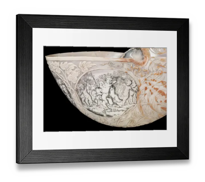 Framed Print : Hans Sloanes nautilus shell Framed Print : Hans Sloanes nautilus shell