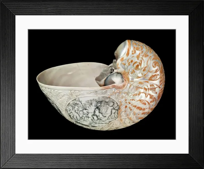Framed Print : Hans Sloanes nautilus shell Framed Print : Hans Sloanes nautilus shell