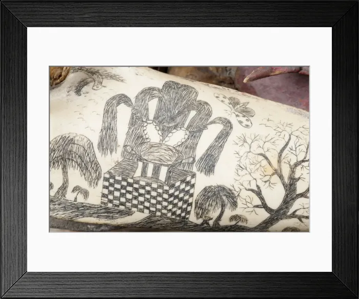 Framed Print : Rough-toothed dolphin skull with ink scrimshaw Framed Print : Rough-toothed dolphin skull with ink scrimshaw