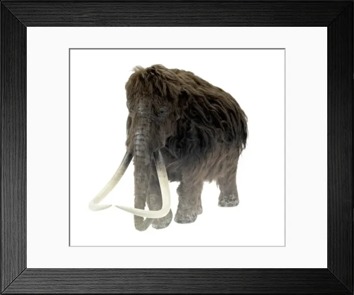 Framed Print : Model of the Ilford Mammoth Framed Print : Model of the Ilford Mammoth