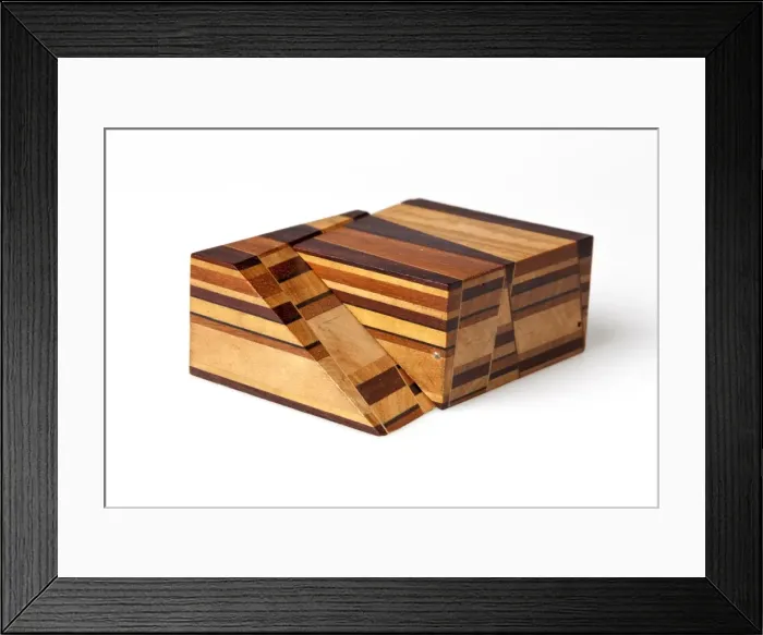 Framed Print : Sopwith Model XI: Vertical intersecting veins Framed Print : Sopwith Model XI: Vertical intersecting veins