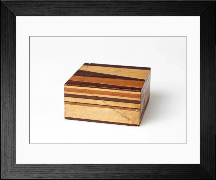 Framed Print : Sopwith Model XI: Vertical intersecting veins Framed Print : Sopwith Model XI: Vertical intersecting veins