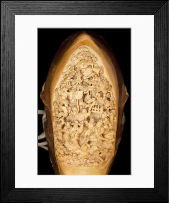 Framed Print : Carved Hornbill Skull
