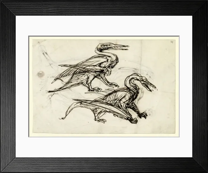 Framed Print : Pen & ink sketch of pterodactyl Framed Print : Pen & ink sketch of pterodactyl