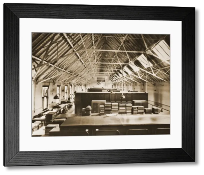 Framed Print : Entomology, W. Rothschild Zoological Museum Framed Print : Entomology, W. Rothschild Zoological Museum