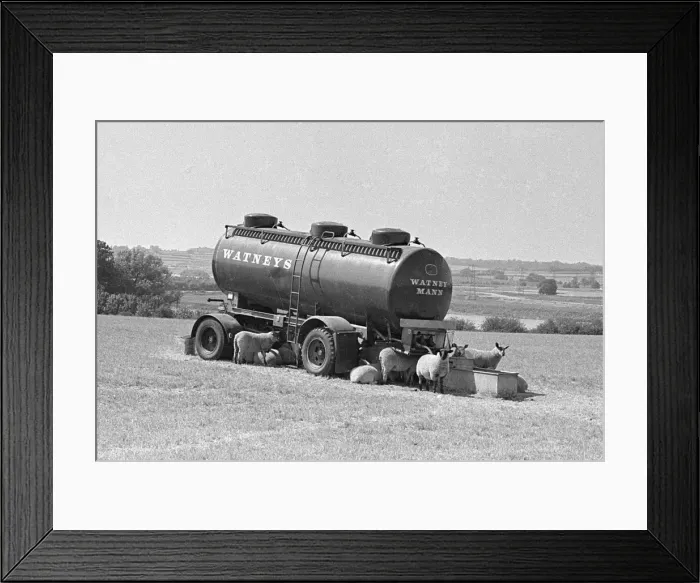 Framed Print : What we Want is W Framed Print : What we Want is W