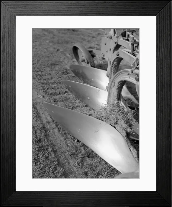 Framed Print : Sun on steel. Old plough blades shining in the sun Framed Print : Sun on steel. Old plough blades shining in the sun