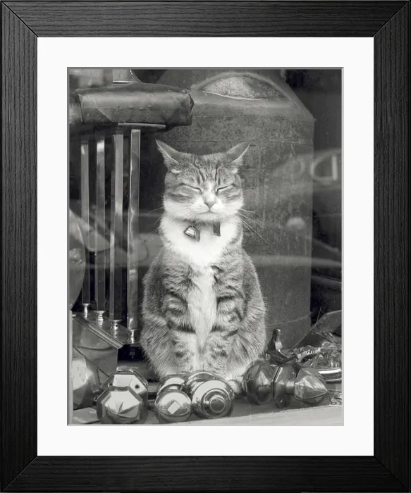 Framed Print : Not for sale Framed Print : Not for sale