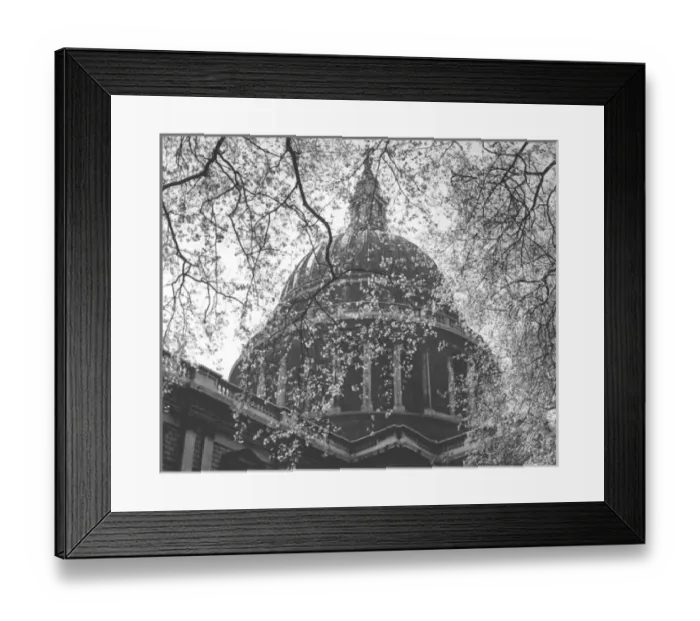Framed Print : St Pauls Cathedral thro spring foliage Framed Print : St Pauls Cathedral thro spring foliage