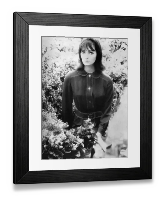 Framed Print : Dress by Ginger Group - Mary Quant, 1965 Framed Print : Dress by Ginger Group - Mary Quant, 1965