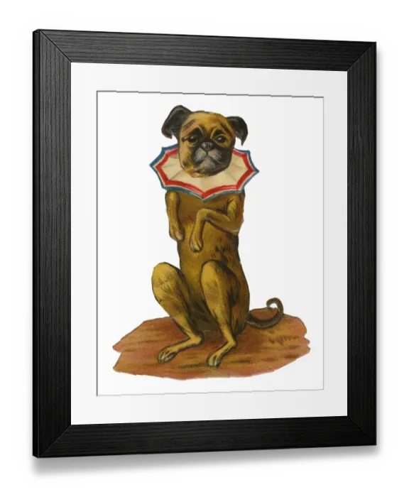 Framed Print : Victorian Scrap, performing dog Framed Print : Victorian Scrap, performing dog