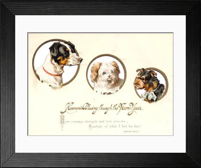 Framed Print : Three dogs on a New Year card Framed Print : Three dogs on a New Year card
