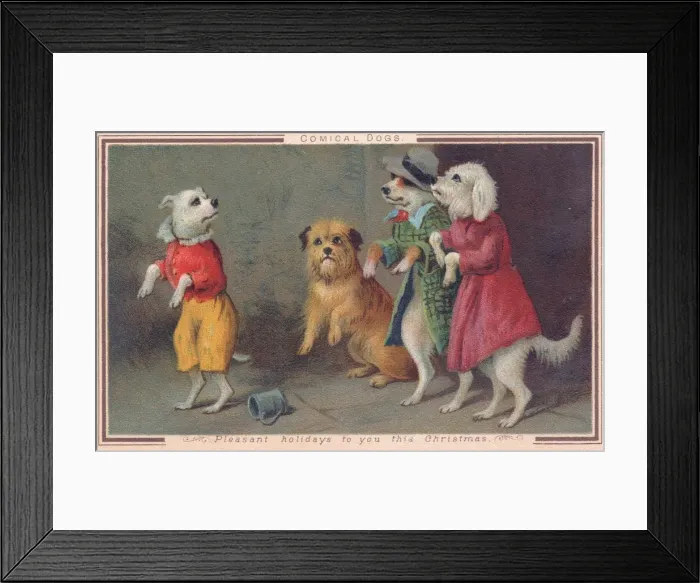 Framed Print : Four comical dogs on a Christmas card Framed Print : Four comical dogs on a Christmas card