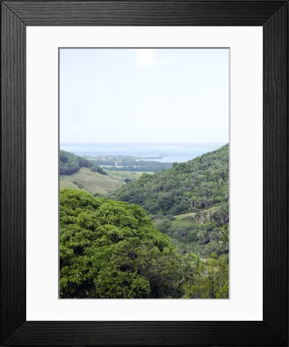 Framed Print : Valley de Ferney private sugar estate Framed Print : Valley de Ferney private sugar estate